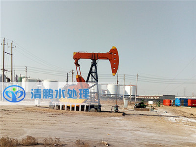 新疆油田成功案例